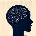 Icona di un cervello stilizzato con nodi di connessione.